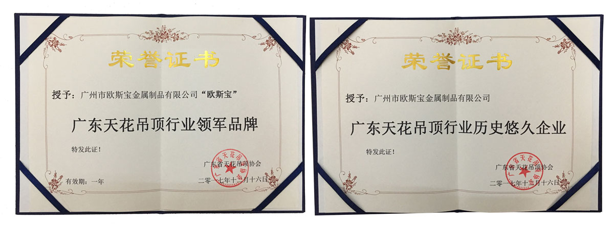 廣東天花吊頂行業(yè)領(lǐng)軍品牌