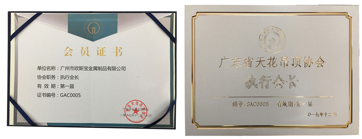 廣東省天花吊頂協(xié)會(huì)執(zhí)行會(huì)長(zhǎng)