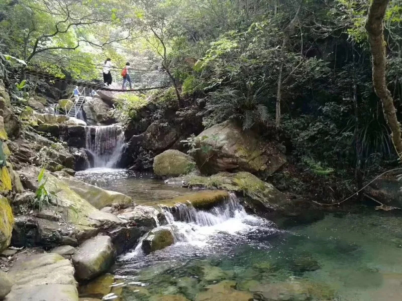 漂流探險，激情飛揚，歐斯寶公司活動