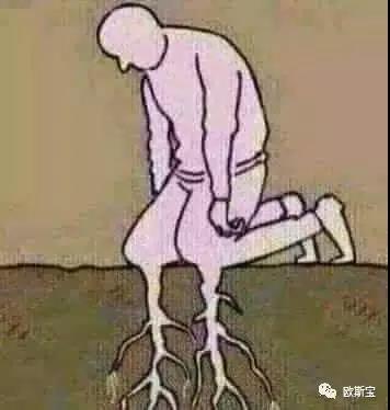 【歐斯寶團隊】論成功的自我修養！