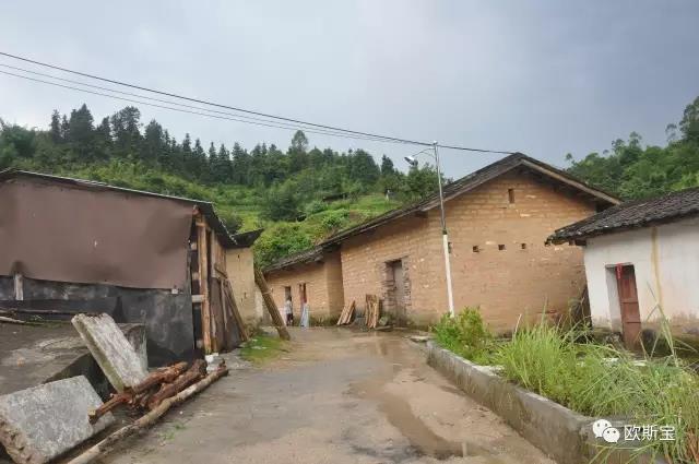 一元愛心公益
