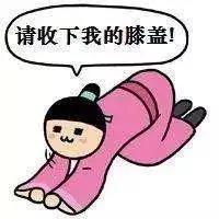 請(qǐng)收下我的膝蓋