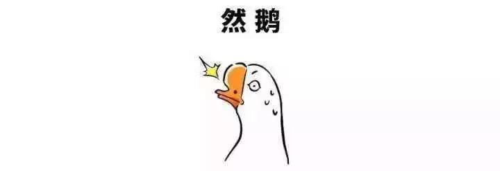 然鵝