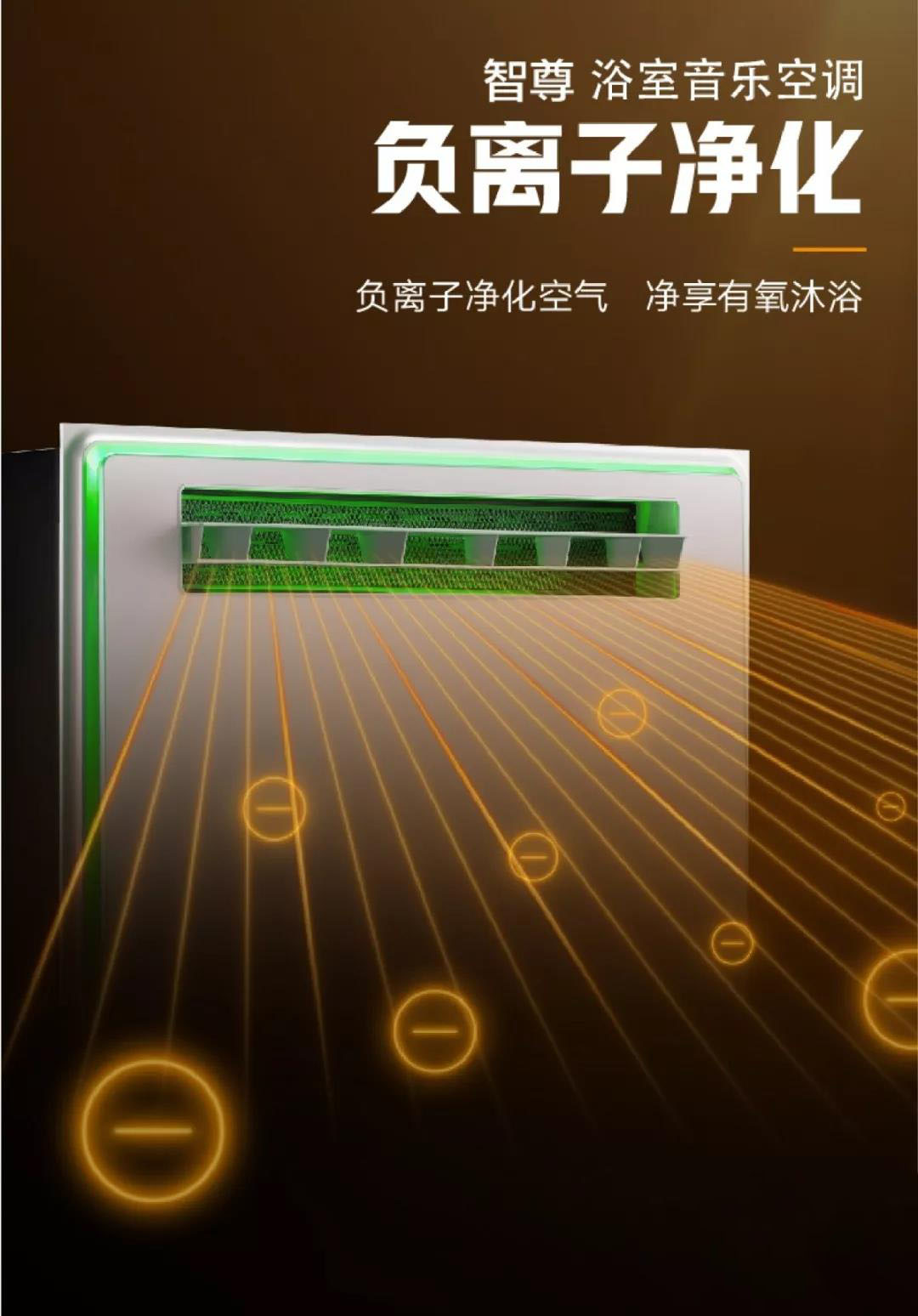 負離子凈化功能